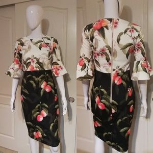 ted baker areea dress